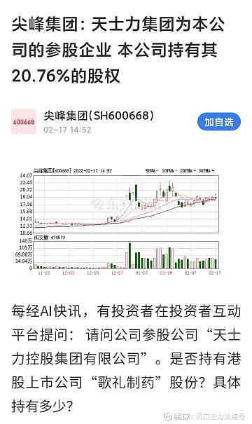 尖峰集团最新十大股东概况解析