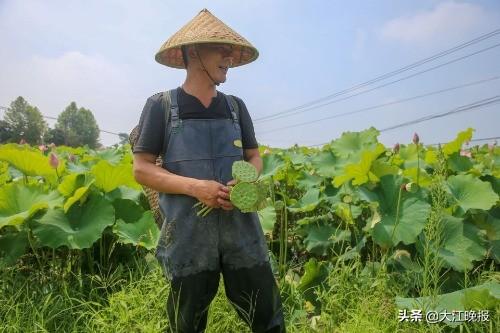 拥有 第7页